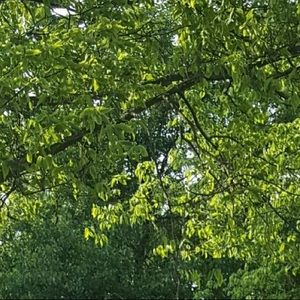 Meet your Posher, Sean